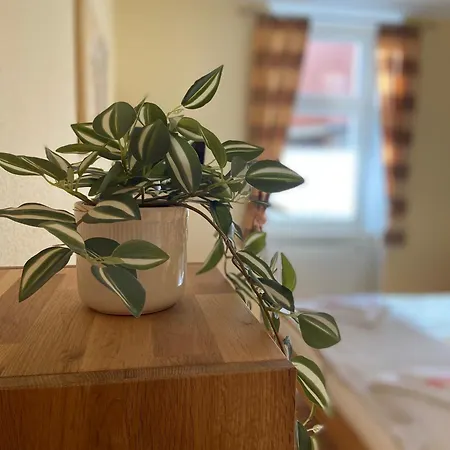 Camino Living Apartment Bautzen